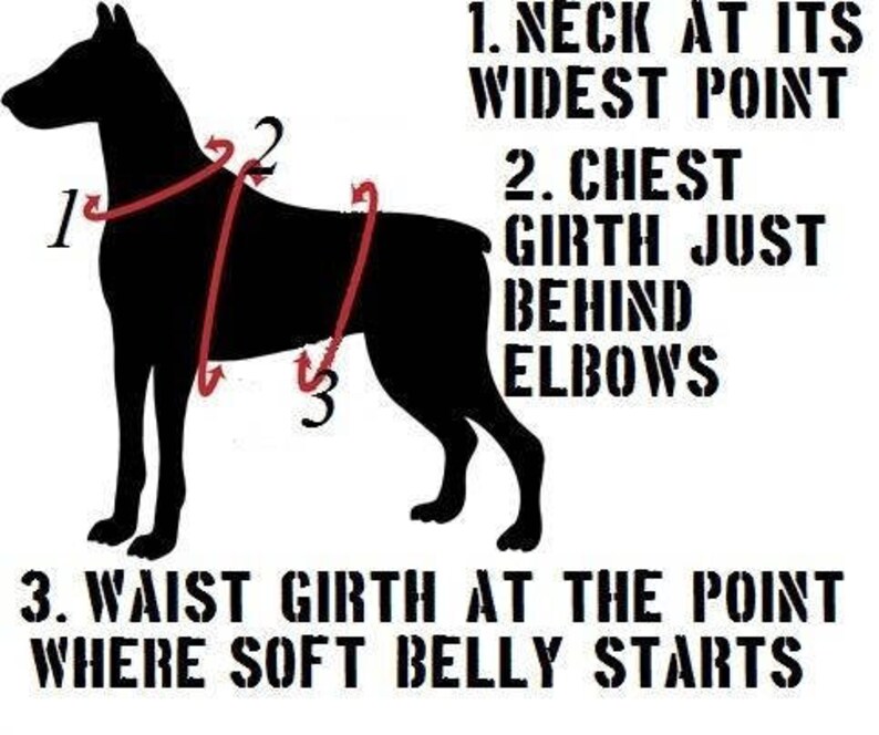 Dog Backpack Heavy Duty Harness Service Dog Vest Etsy