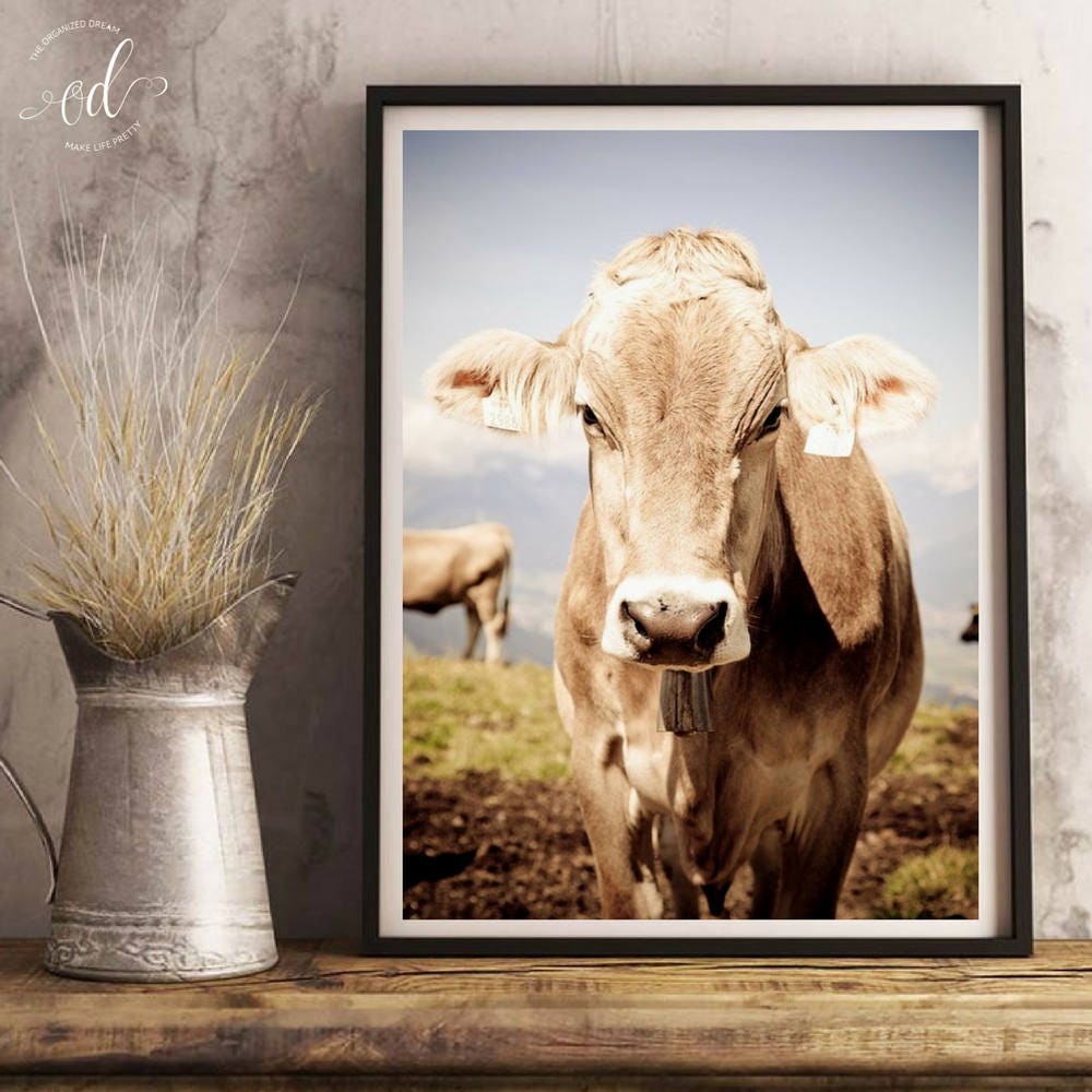 Farmhouse Cow Print Farm Animal Wall Art Cow Poster Cow Etsy