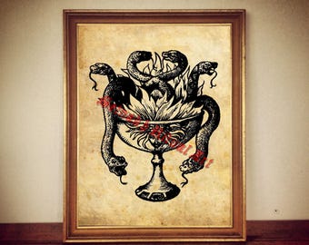 Chalice of Snakes Print, Vintage Occult Art, Mystic Home Decor #293