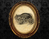 Toad - symbol of good luck and transition • spirit animal print • witchcraft poster • magic art • magic gift • pagan, wiccan home decor #119