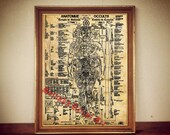 Occult anatomy of human poster, magic anatomical canvas print, medieval illustration, occultism, hermetic medicine, antique home decor #128