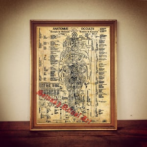Occult anatomy of human poster, magic anatomical canvas print, medieval illustration, occultism, hermetic medicine, antique home decor #128