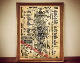 Occult anatomy of human poster, magic anatomical canvas print, medieval illustration, occultism, hermetic medicine, antique home decor #128