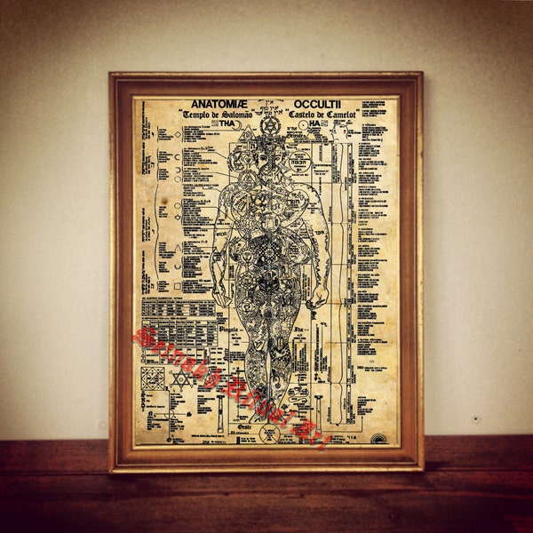 Occult Anatomy Print, Medieval Human Illustration, Hermetic Home Decor #128