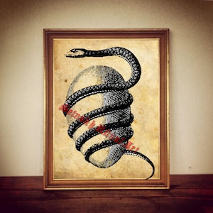 Serpent orphic egg Sirius hermetic gnostic esoteric | print illustration poster | occult antique rustic vintage home living room decor 148