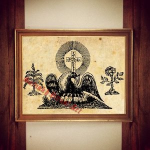 Rosicrucian art, pelican poster, occult print, esoteric illustration, bird picture, occult wall decor, cross and rose, esoteric picture #262