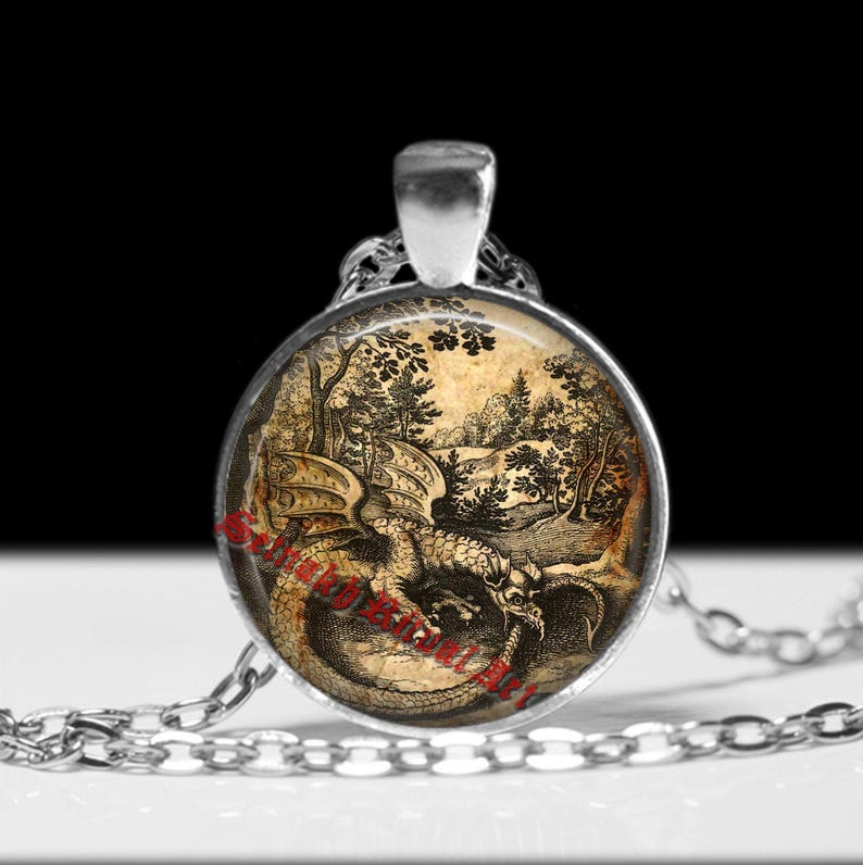 Colgante Ouroboros, Dragón Alquímico, Joyería Oculta #398 imagen 1