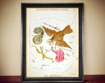 May include: A vintage illustration of the constellation Aquila, also known as the Eagle, with the text "DELPHINUS, SAGITTA. AQUILA." and "AND ANTINOUS." The illustration is in a black frame and features a detailed depiction of the constellation with stars and a stylized eagle.