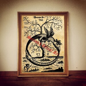 May include: A black and white illustration of a winged serpent biting its own tail, forming a circle around a tree. The image is titled "Serpentes, etc." and is set against a light brown background.