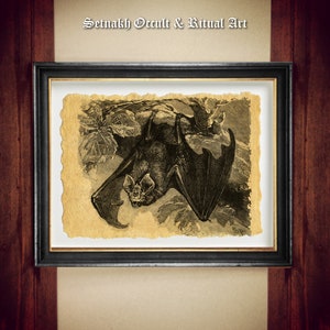 Vampire Bat Antique Print, Gothic Occult Decor #N7