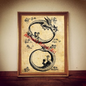 Estampado de serpiente Ouroboros, arte hermético ocultista, decoración esotérica para el hogar #220