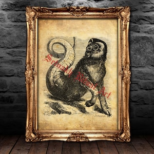 7 AMON demon seal print, Goetia sigil poster, Lemegeton demon art, Lesser Key of Solomon occult ritual cards summoning demons #104.7