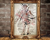 Occult anatomy, human wounds print, medieval illustration, vintage poster, macabre art, home decor, kind of weapon prints, Hannibal #372