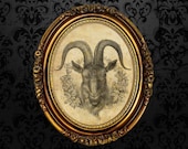 Black Goat Philip print • witchcraft poster • gothic wallart • occult gift • satanic art • magic, dark art • pagan, wiccan home decor #118