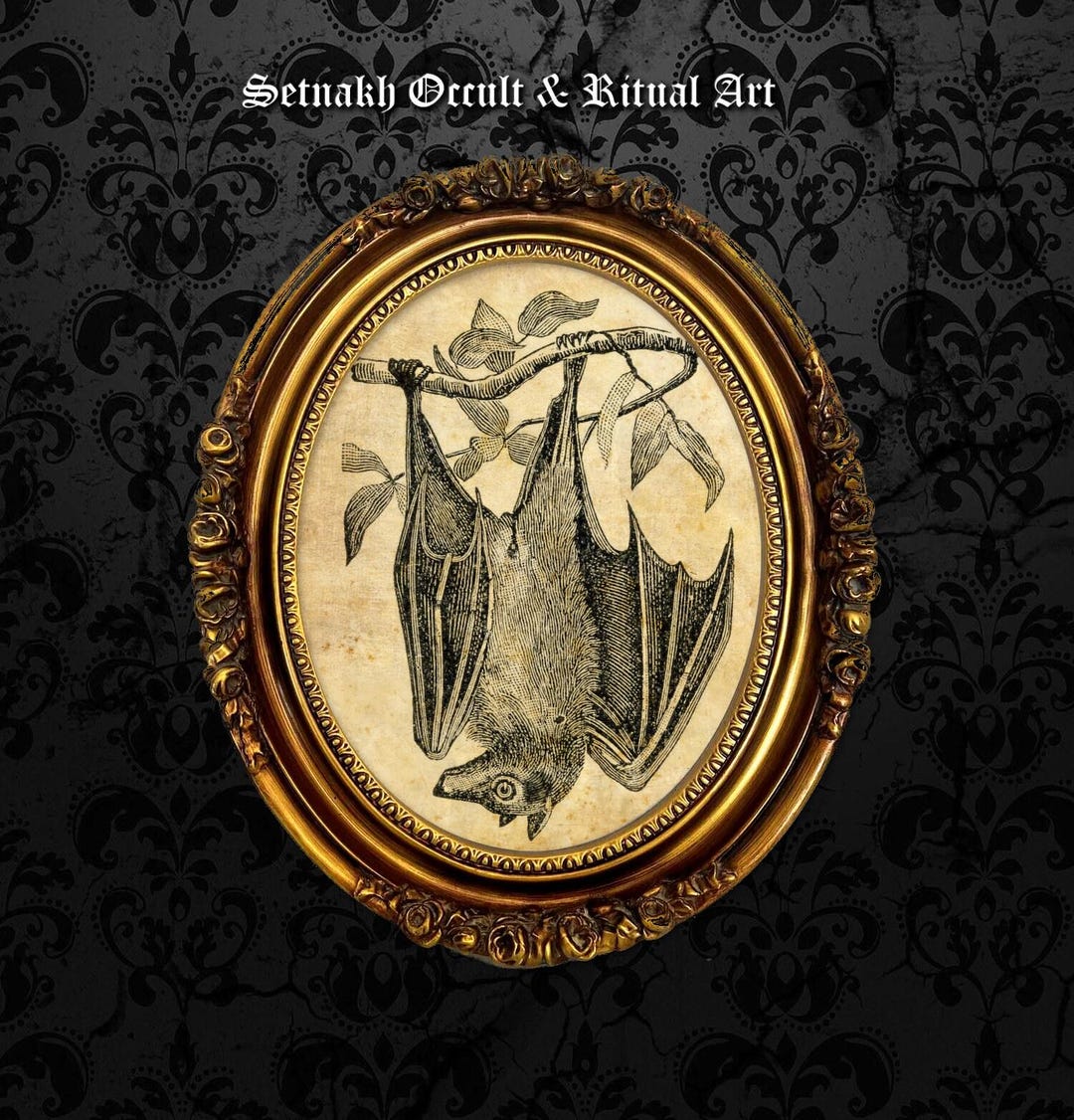 Vampire Bat - Symbol of Eternity • Spirit Animal Print • Witch Poster ...