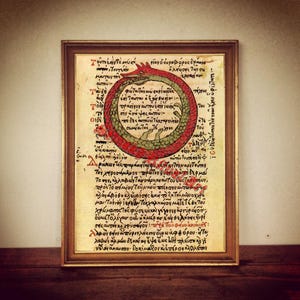 Wąż Ouroboros, sztuka alchemiczna, ezoteryczny, okultystyczny wystrój domu nr 354