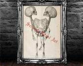 Vintage occult print, Siamese skeleton poster, victorian macabre, halloween decor, demonic skull art, bizarre home decor #440