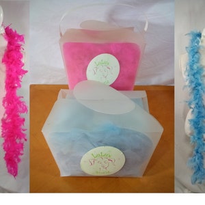 May include: Two clear plastic boxes with lids, each containing a feather boa. One boa is pink and the other is light blue. The boxes have a sticker with the text "Lula's Boutique" on them.