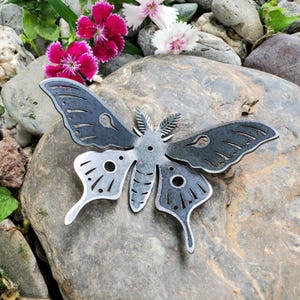 May include: A metal butterfly wall decor with a black and silver finish. The butterfly has intricate cutouts and a detailed design.