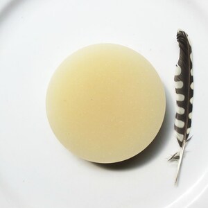 May include: A pale yellow, round object sits on a white plate next to a feather. The feather is primarily black and white with a speckled pattern. The objects are set against a plain white background.