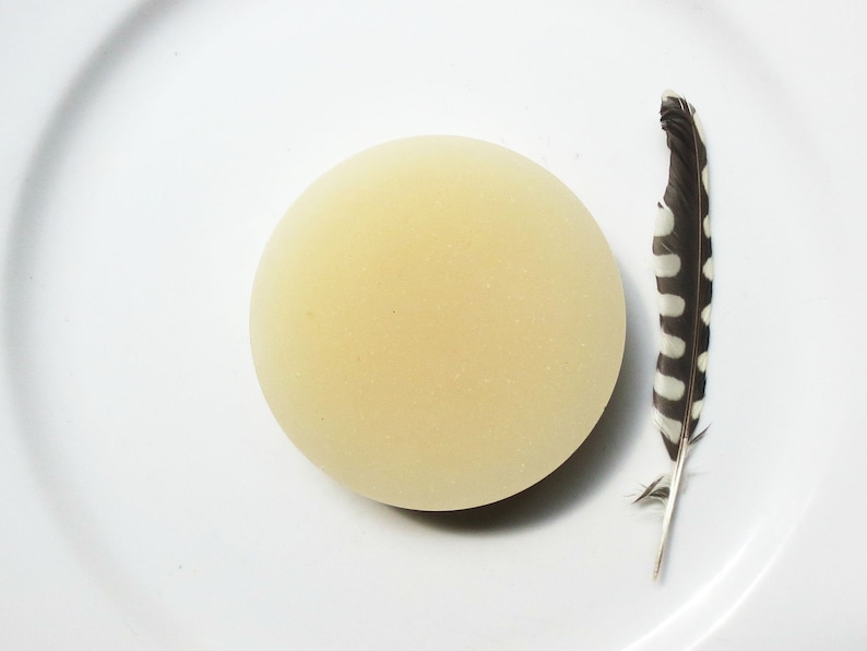 May include: A pale yellow, round object sits on a white plate next to a feather. The feather is primarily black and white with a speckled pattern. The objects are set against a plain white background.