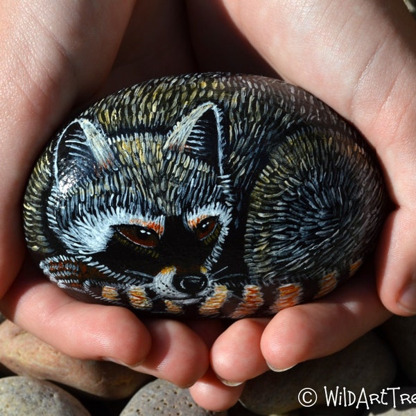 Painted Rocks: Racoon