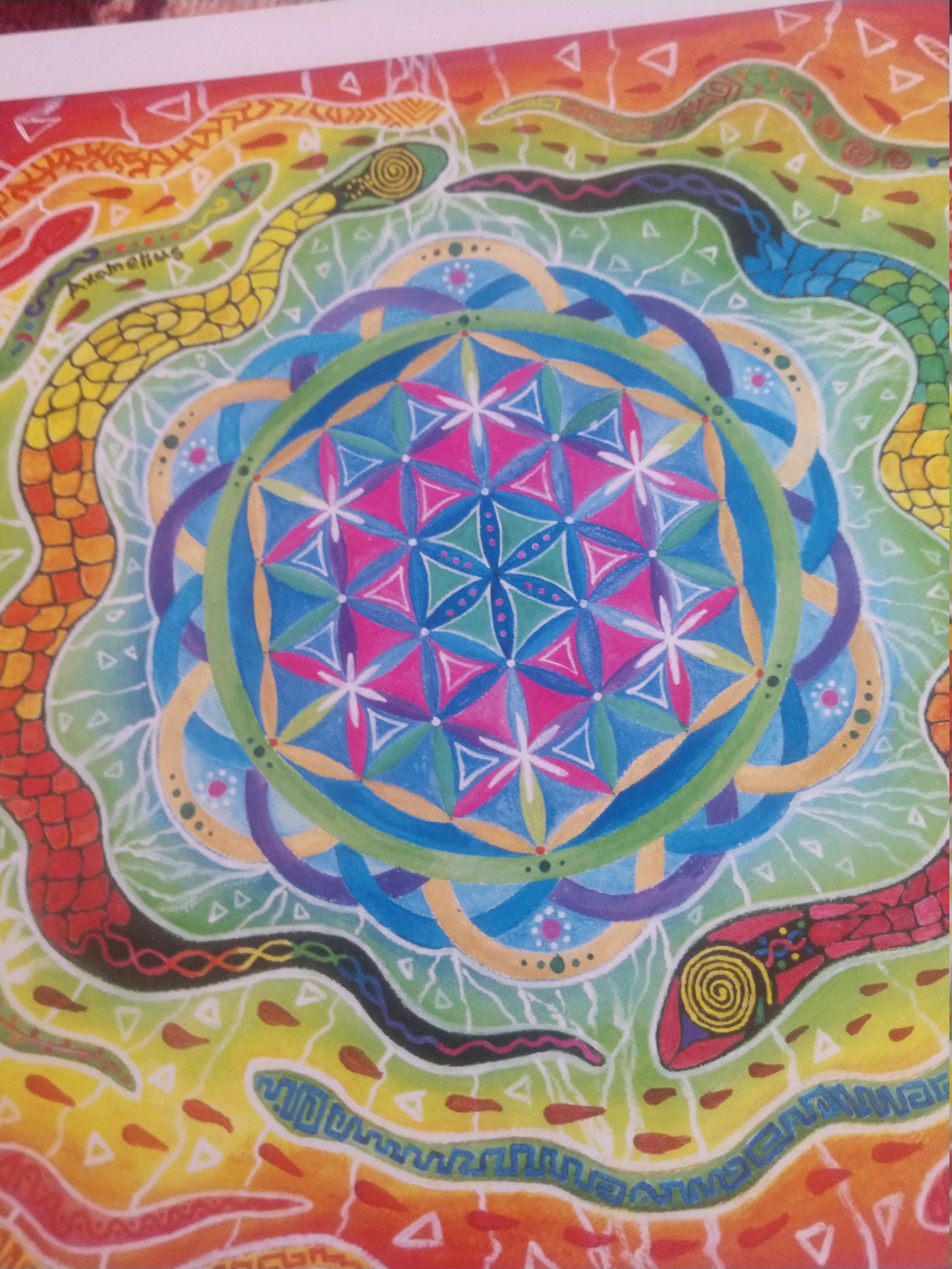 Snake Vortex Sacred Geometry Paper Print - Etsy