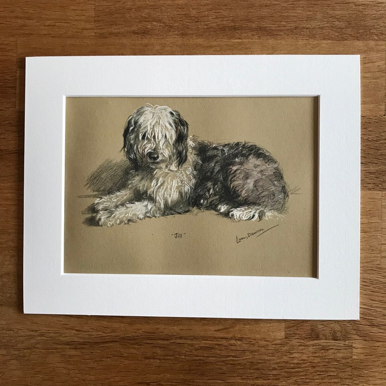 Dog Print-1946-Lucy Dawson-Illustration-Drawing-Old English Sheep Dog-Vintage-Home decor