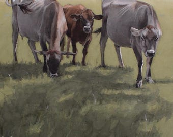 牛 - ポピーアピール。