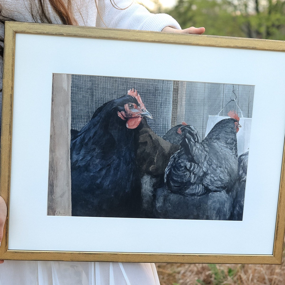 Chicken Fine Art Giclee Print| Fine Art Chicken Watercolor Print| Chicken Print| Chicken Wall Art| Hen Painting|hen Watercolor |fine Art\art - Etsy