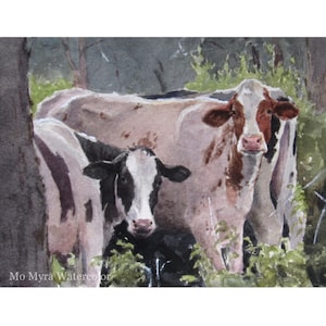 Framed Fine Art Cow print Fine Art Watercolor print Limited edition print Cow print framed Cow fine art Watercolor cow image 1