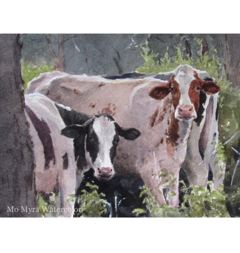 Framed Fine Art Cow print Fine Art Watercolor print Limited edition print Cow print framed Cow fine art Watercolor cow image 1