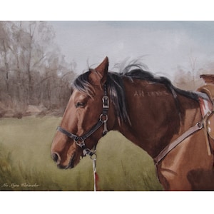 Pferd Grußkarte | nur weil Pferd Karte| Pferd Geschenk | Karte mit Pferd| Pferd Fine Art Geschenk
