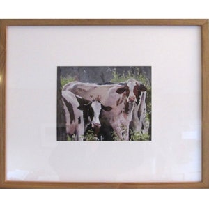 Framed Fine Art Cow print Fine Art Watercolor print Limited edition print Cow print framed Cow fine art Watercolor cow image 2