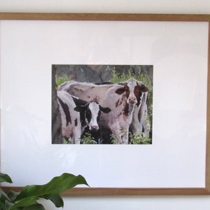 Framed Fine Art Cow print Fine Art Watercolor print Limited edition print Cow print framed Cow fine art Watercolor cow image 5