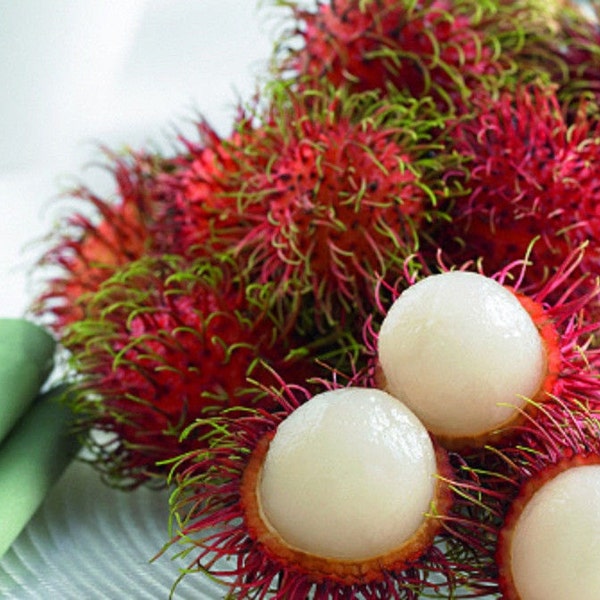 rambutan 10 seeds, tropical seasonal delicious sweet fruits