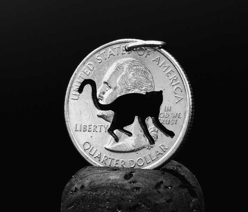 Może przedstawiać: Srebrna amerykańska moneta o wartości 25 cent&oacute;w z wyciętym w środku czarnym sylwetką kota. Moneta leży na szarym kamieniu.