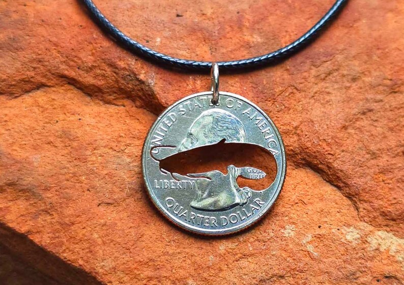 Halsband för havskattsälskare, hänge för havskattsälskare, havskattspresent till havskattsälskare, smycken, havskattssamlare, fiskepresent, mynthalsband bild 2