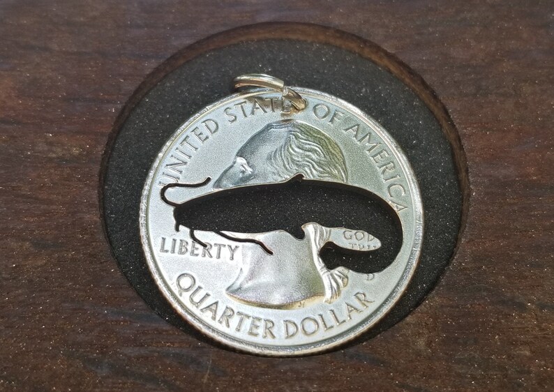 Halsband för havskattsälskare, hänge för havskattsälskare, havskattspresent till havskattsälskare, smycken, havskattssamlare, fiskepresent, mynthalsband bild 3