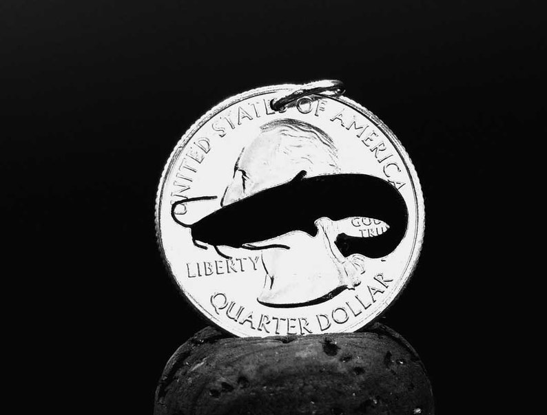 Halsband för havskattsälskare, hänge för havskattsälskare, havskattspresent till havskattsälskare, smycken, havskattssamlare, fiskepresent, mynthalsband bild 5