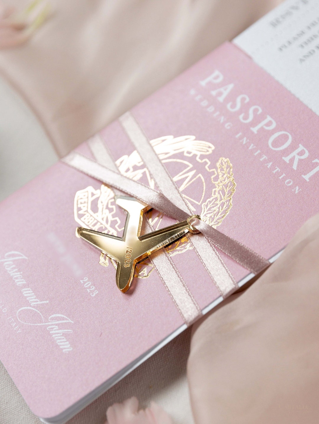 Blush Pink Passport Wedding Invitation Luxury Passport With Plane