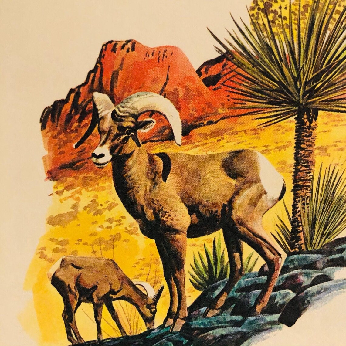 VNTG 1967 Nevada Battle Mountain District BLM Public Lands Map Etsy