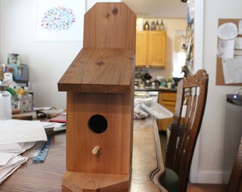 Sparrow Squeeze Inn Birdhouse Kit