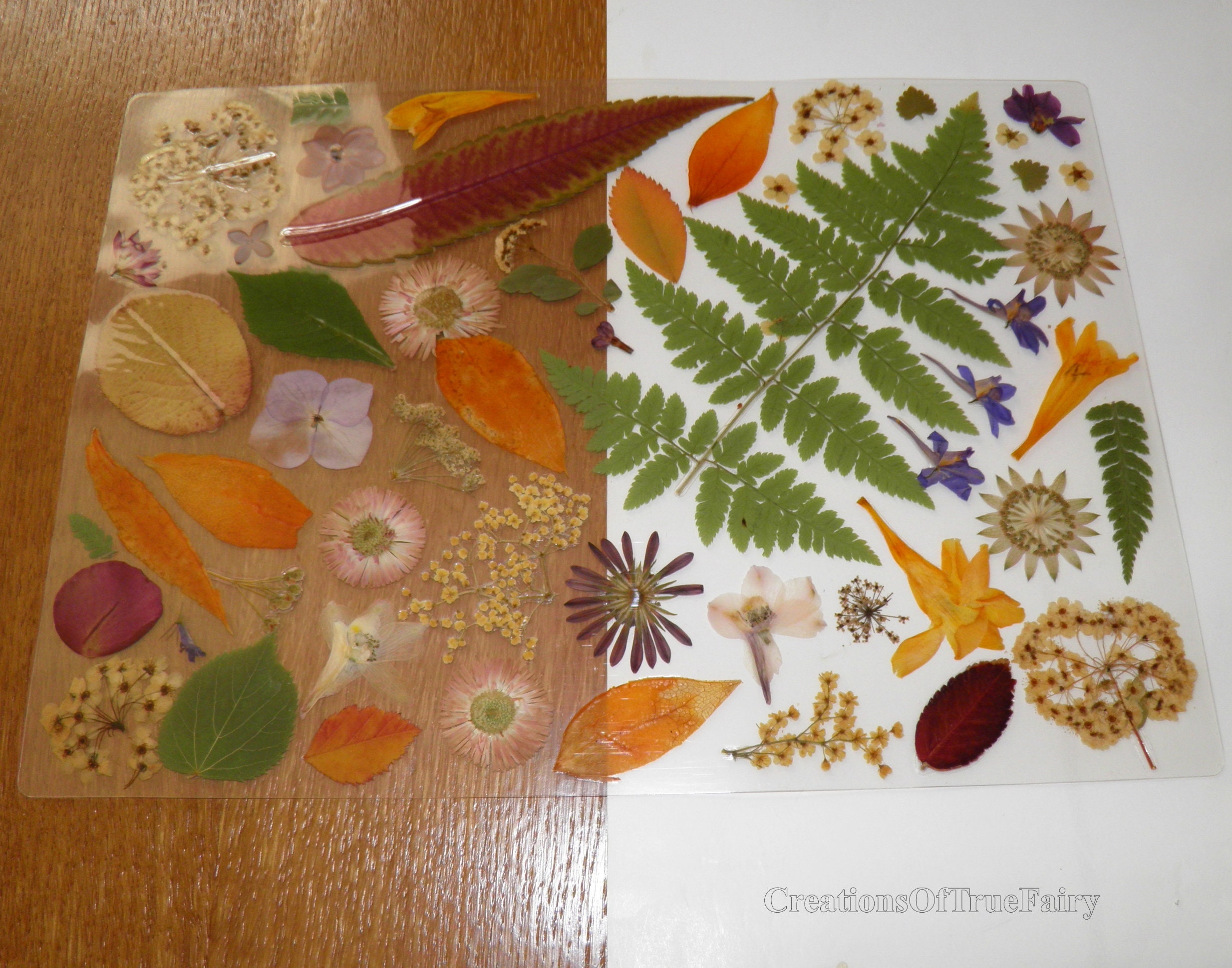 Real Leaves Placemat New Home Gift Vinyl Placemat Table Mat Etsy