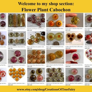 How To Open Etsy Shop Step By Step Tutorial How To Open Etsy Store How To Open Etsy Shop Step By Step Tutorial How To Open Etsy Store