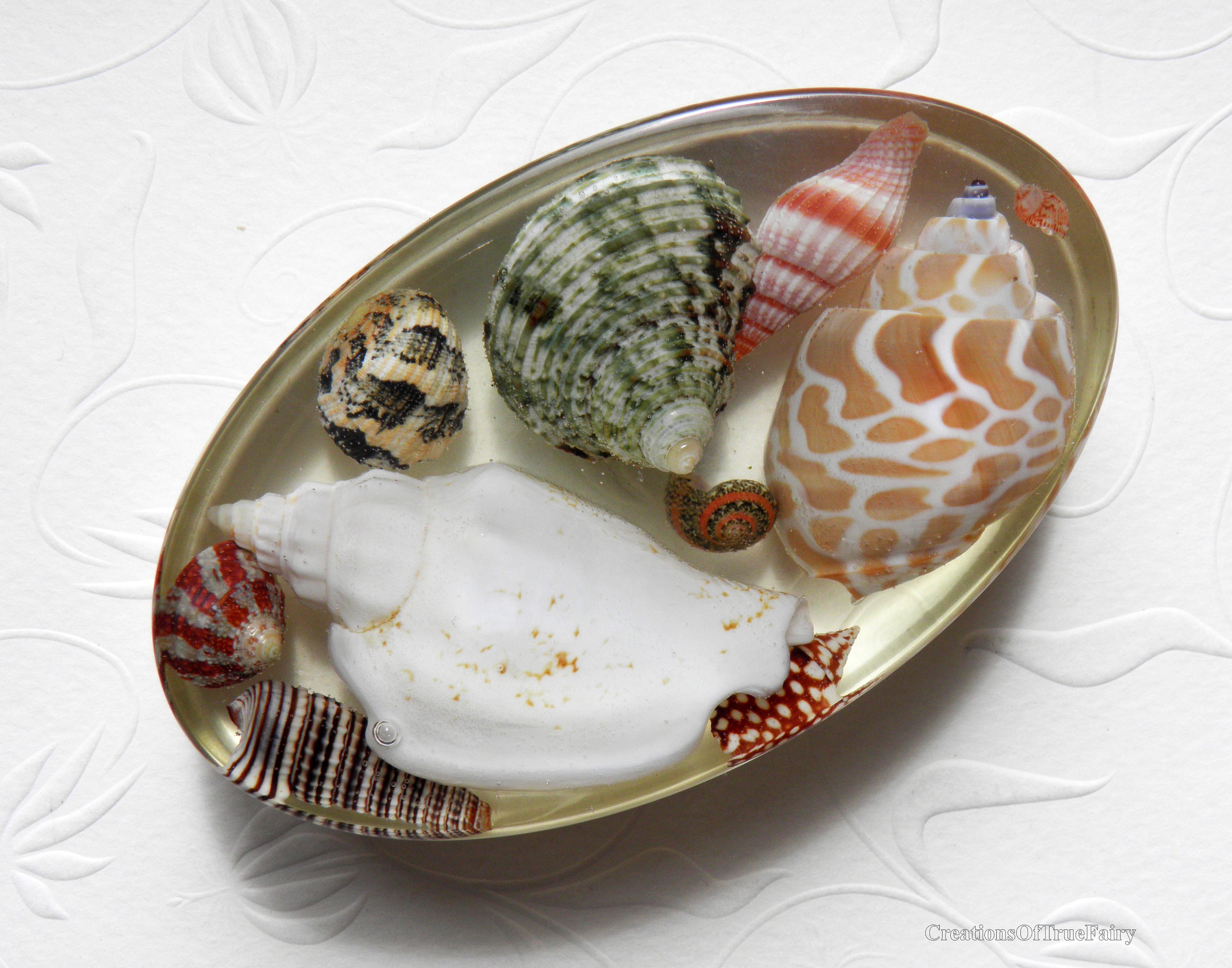 Sea shell paperweight Gift for coworker Best friend Boyfriend Etsy