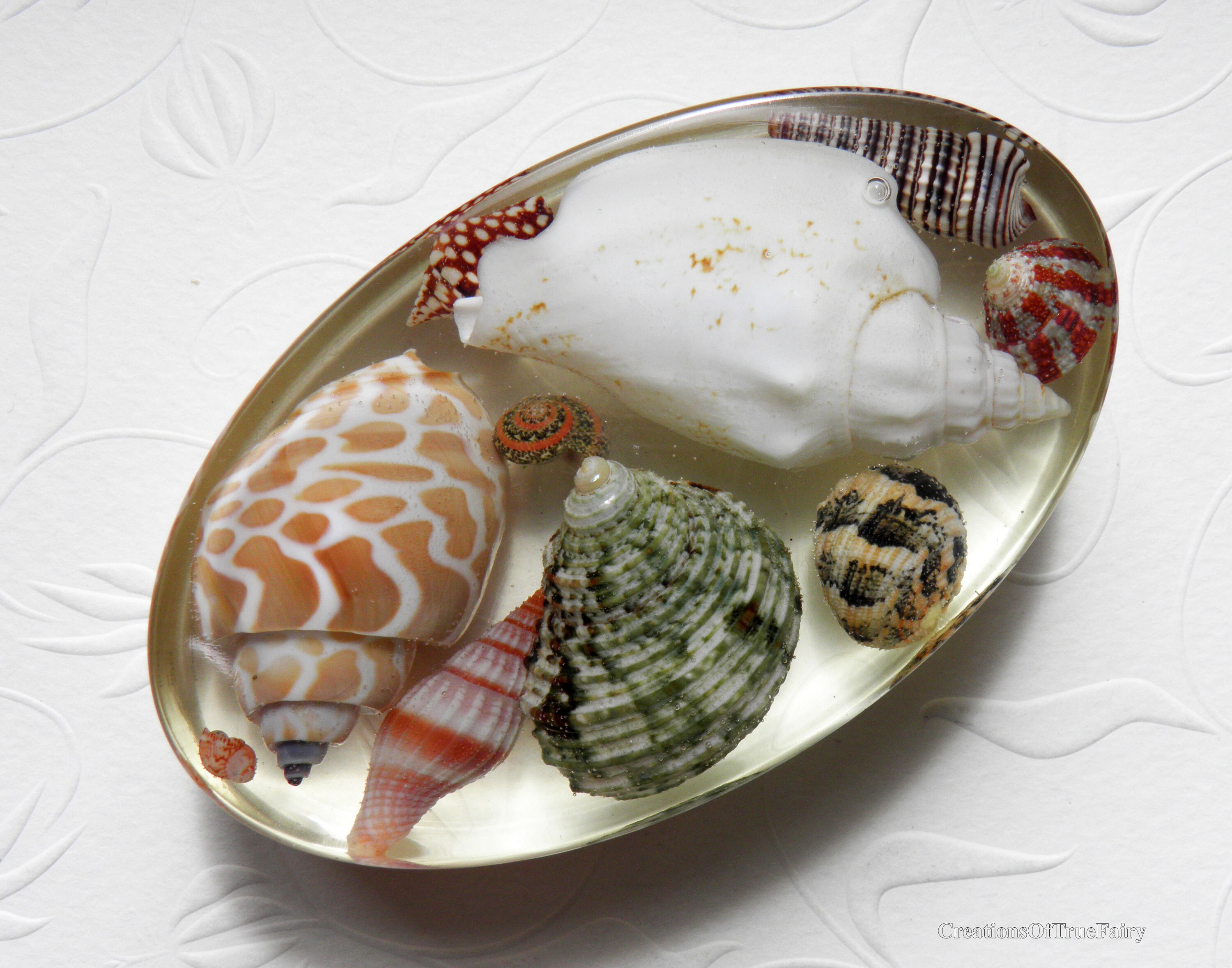 Sea shell paperweight Gift for coworker Best friend Boyfriend Etsy
