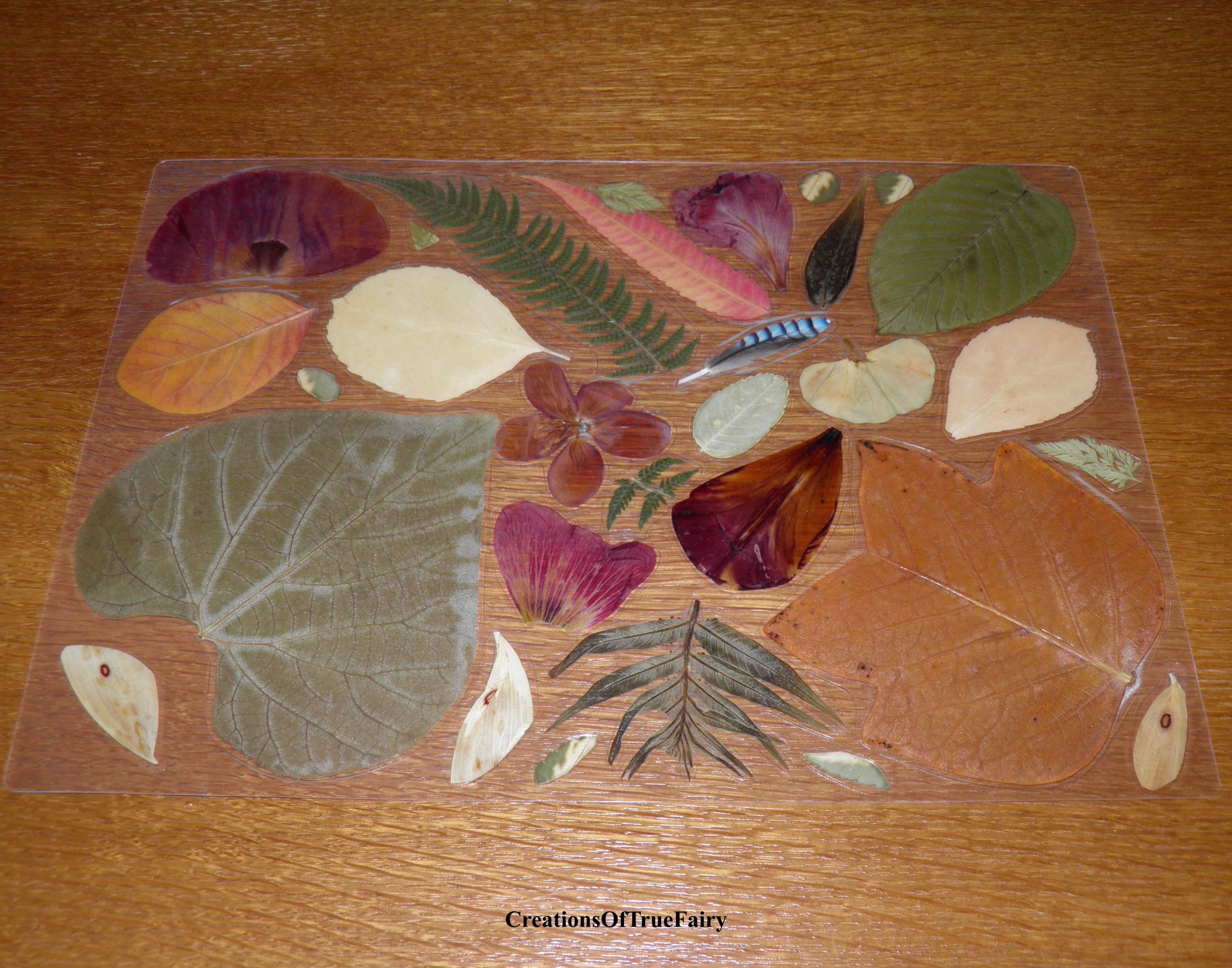 Placemat Dried Leaves Housewarming Gift Botanical Vinyl Etsy UK