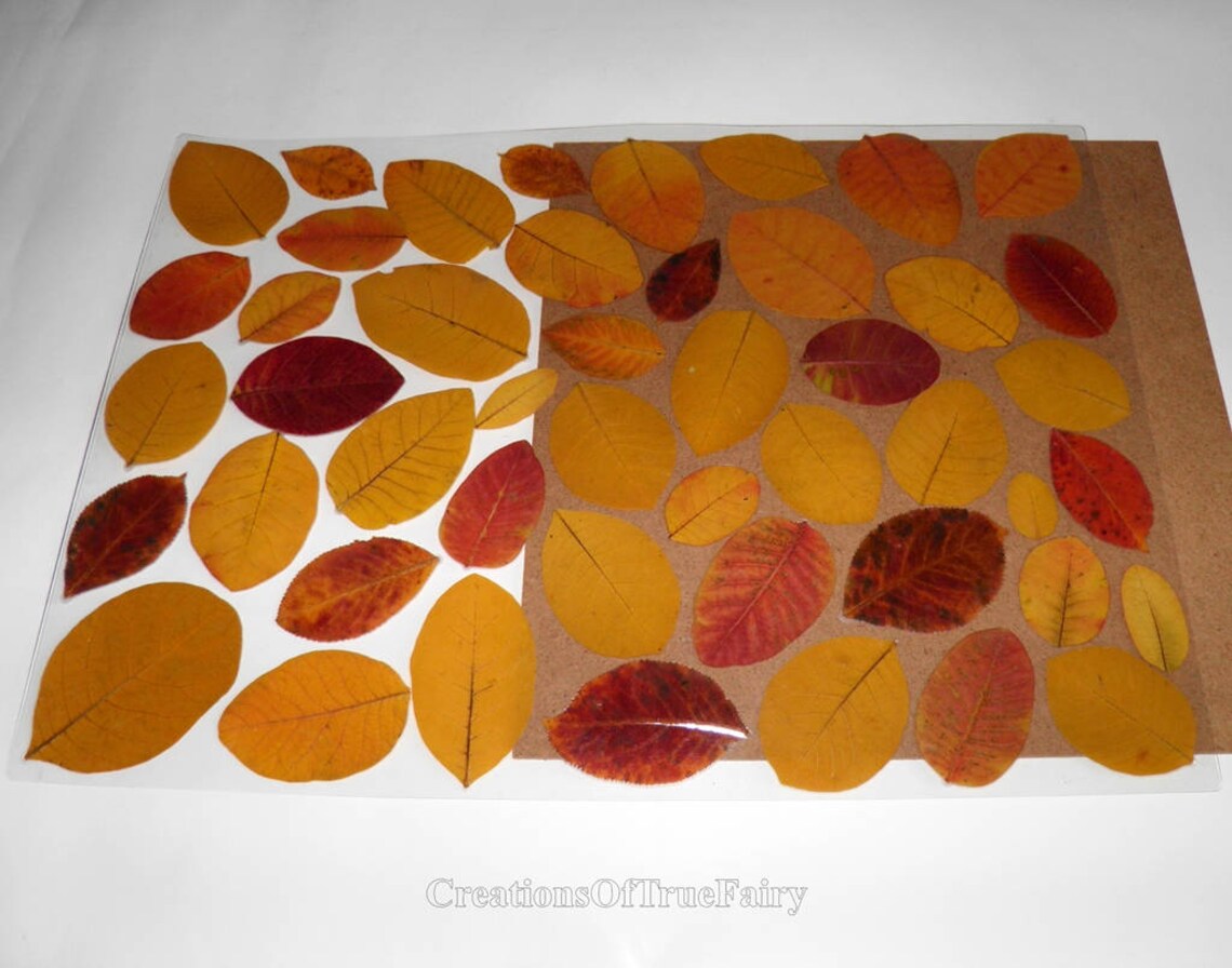 Placemat Yellow Leaf Unique Vinyl Waterproof Placemat Kitchen Etsy