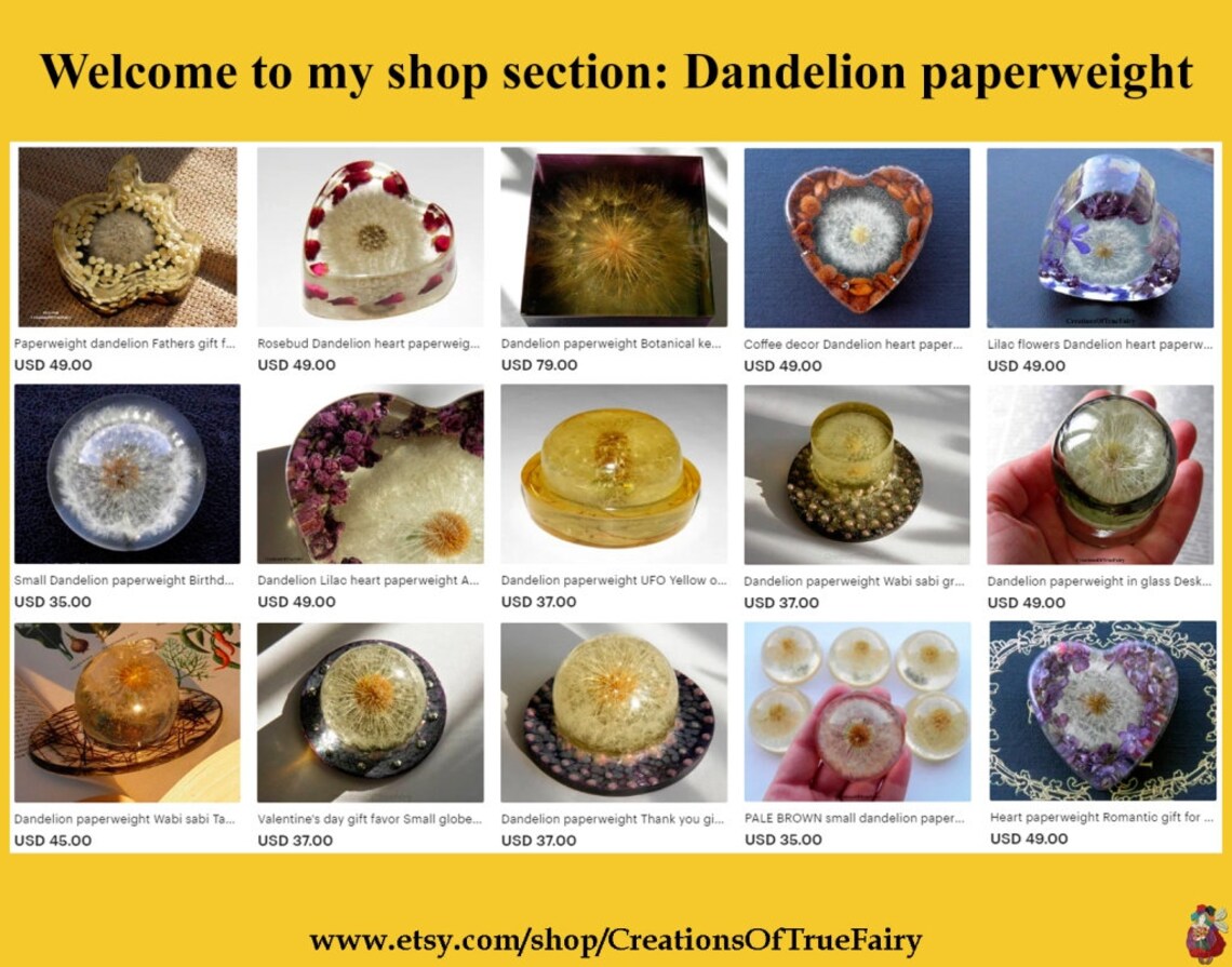 Sea Shell Paperweight Gift for Coworker Best Friend Boyfriend Etsy